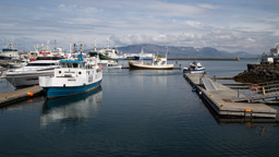 Island /  / Reykjavik