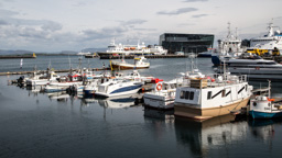 Island /  / Reykjavik