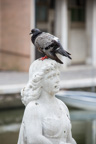 Italien / Venetien / Chioggia