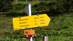 Österreich / Steiermark / Niederalpl