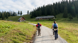 Österreich / Steiermark / Niederalpl