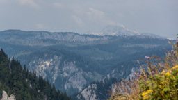 Österreich / Steiermark / Niederalpl
