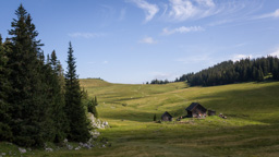 Österreich / Steiermark / Herrenboden