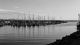 Neuseeland /  / Napier