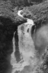 Neuseeland /  / Taupo