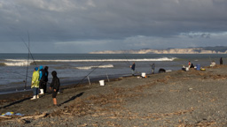 Neuseeland /  / Napier