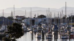 Neuseeland /  / Napier
