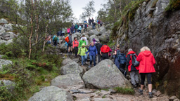 Norwegen /  / Preikestolen, Lysefjord