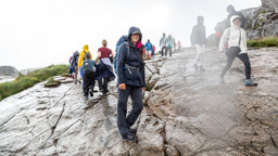 Norwegen /  / Preikestolen, Lysefjord