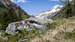 Österreich / Steiermark / Rantental