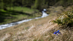 Österreich / Steiermark / Rantental