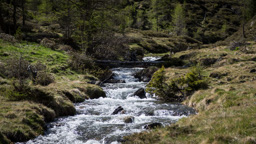 Österreich / Steiermark / Rantental