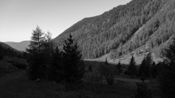 Österreich / Steiermark / Rantental