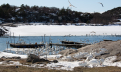 Schweden /  / Marstrand