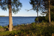 Schweden /  / Svagan