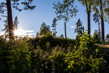 Schweden /  / Svagan
