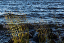 Schweden /  / Svagan
