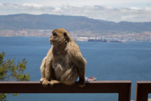 Spanien /  / Gibraltar