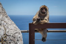 Spanien /  / Gibraltar