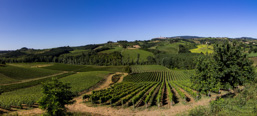 Italien / Toskana / San Gimignano