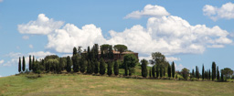 Italien / Toskana / Montalcino