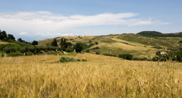 Italien / Toskana / Volterra