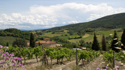 Italien / Toskana / San Gimignano