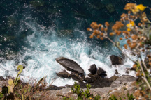 Italien / Ligurien / Corniglia