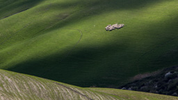 Italien / Toskana / Volterra