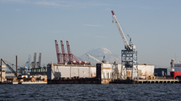 USA / Washington / Seattle