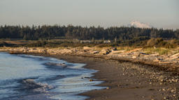 USA / Washington / Anacortes