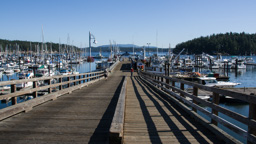 USA / Washington / Friday Harbor