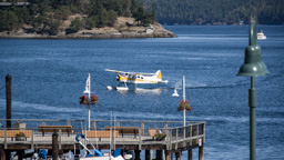 USA / Washington / Friday Harbor