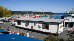 USA / Washington / Friday Harbor