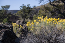 USA / Idaho / Craters of the Moon