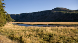 USA / Wyoming / Yellow Stone National Park