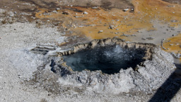 USA / Wyoming / Yellow Stone National Park
