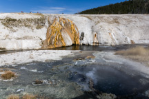 USA / Wyoming / Yellow Stone National Park