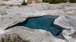 USA / Wyoming / Yellow Stone National Park