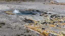 USA / Wyoming / Yellow Stone National Park
