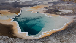 USA / Wyoming / Yellow Stone National Park