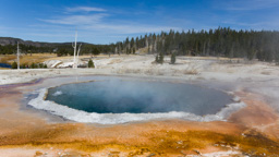USA / Wyoming / Yellow Stone National Park