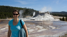 USA / Wyoming / Yellow Stone National Park