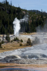 USA / Wyoming / Yellow Stone National Park