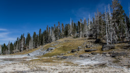 USA / Wyoming / Yellow Stone National Park