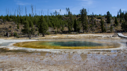 USA / Wyoming / Yellow Stone National Park