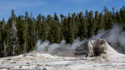 USA / Wyoming / Yellow Stone National Park