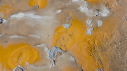 USA / Wyoming / Yellow Stone National Park