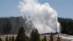 USA / Wyoming / Yellow Stone National Park