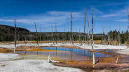 USA / Wyoming / Yellow Stone National Park